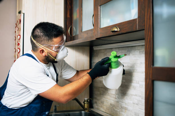 Best Mosquito Control Services  in Exeter, PA